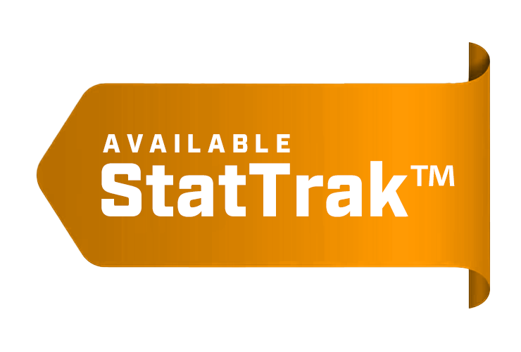 StatTrak™ Weapon